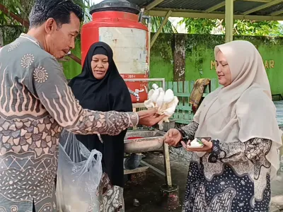 Budidaya Jamur Tiram (1)